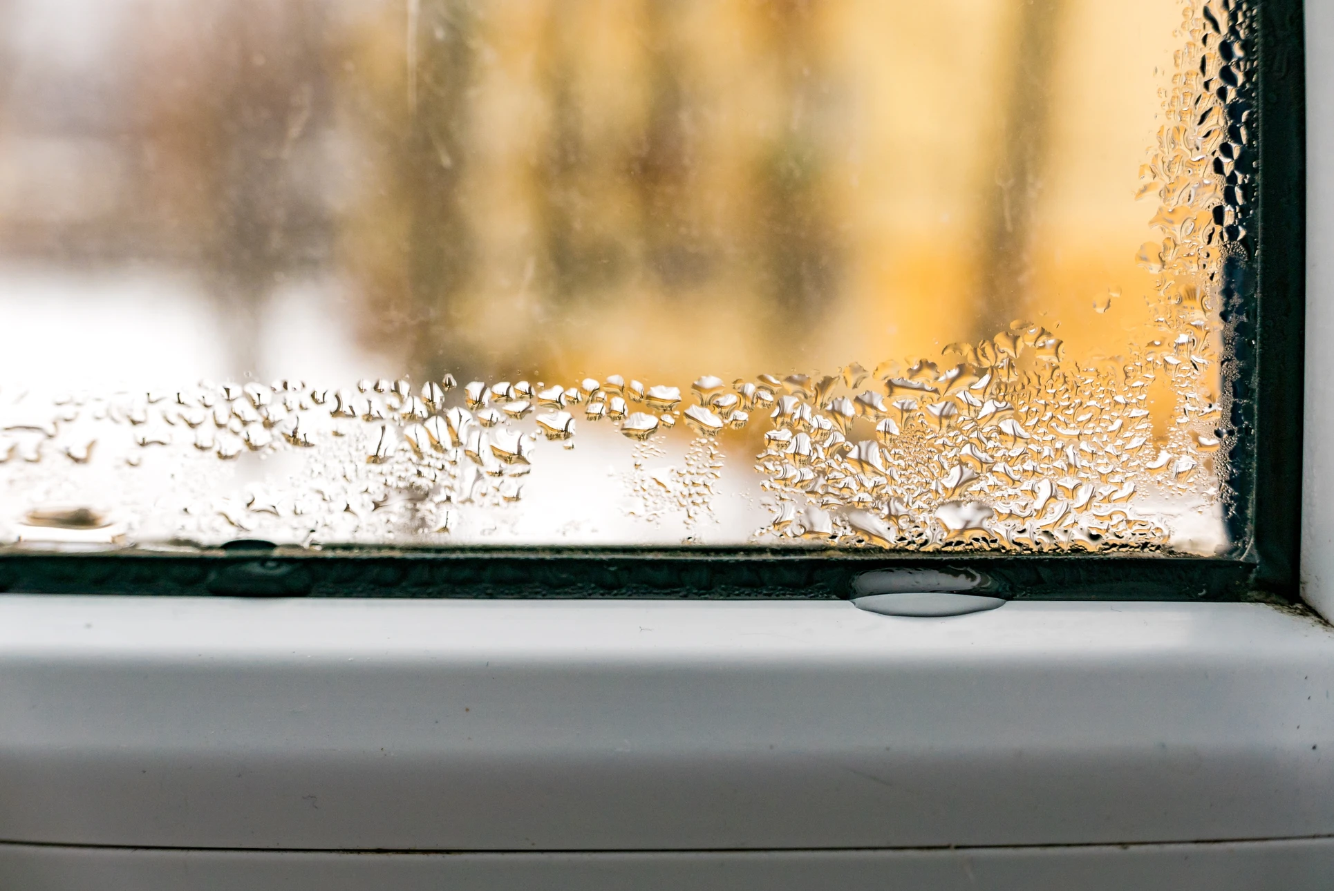 Intérieur d'habitation présentant des dégâts d'humidité importants sur mur blanc avec développement de moisissures brunes et noires au niveau de la plinthe