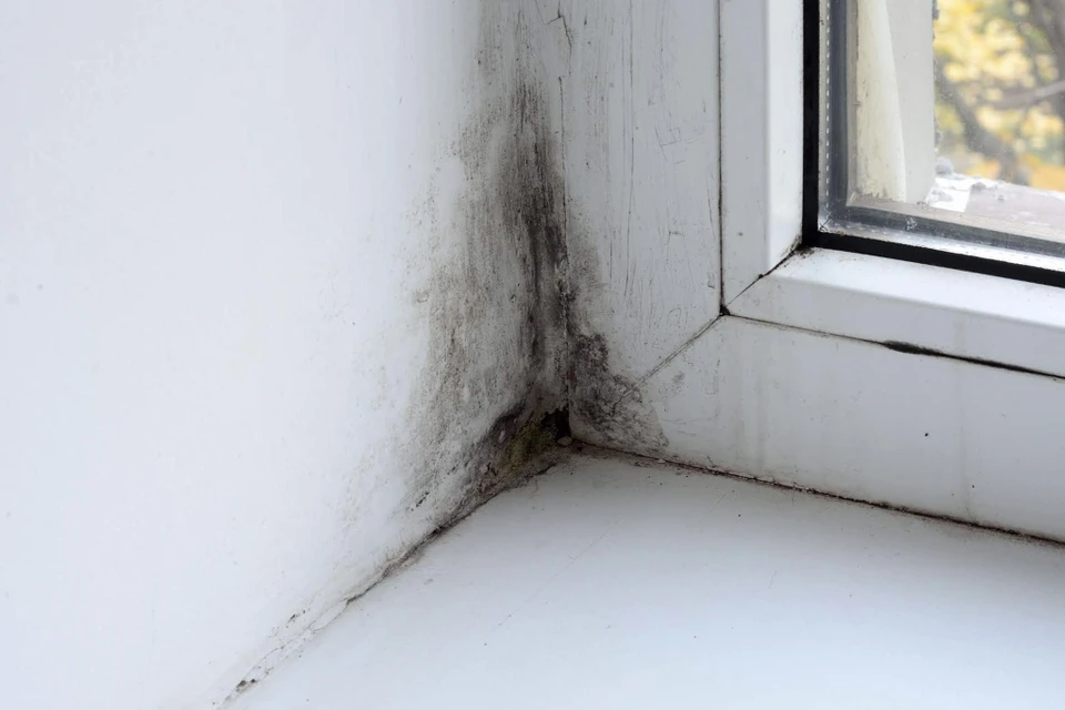 Scène intérieure sur surface en bois brut avec traces d'usure et taches